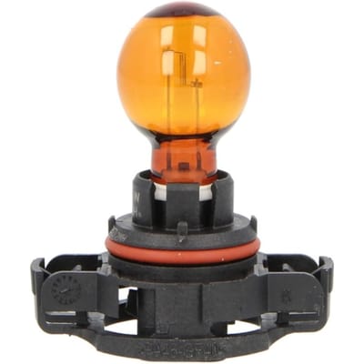 P27/7w lamp PHILIPS PSY24W 12V, 24W