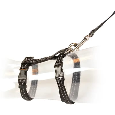 Duvoplus - Halsband Voor Dieren - Kat - Kat Wandelset Refelecterend Uni 20-35cm / 10mm - 125cm Zwart - 1st
