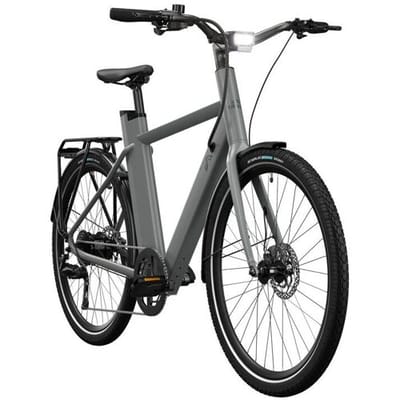 CRIVIT Urban elektrische fiets 3.0 X kettingaandrijving (Ash Grey)