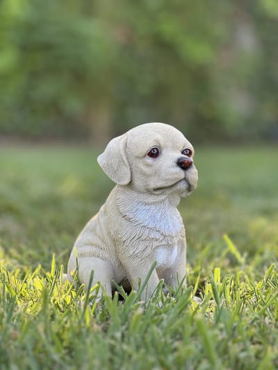 Puppy zittend 3 ass Labrador blond 13 cm hoog - hond - polyester - polystone - beeld - tuinbeeld - hoogkwalitatieve kunststof - decoratiefiguur - interieur - accessoire - voor binnen - voor buiten - cadeau - geschenk - kerst - nieuwjaar