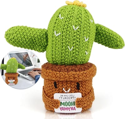 Prachtige bloemen cactussen als geschenk voor kankerpatiënten en vrouwen - Een liefdevol en troostend cadeau voor partners en mensen met een beperking
