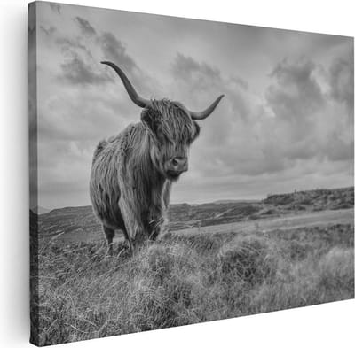Artaza Canvas Schilderij Hooglander - 40x30 cm - Klein - Muurdecoratie Natuur - Wanddecoratie Woonkamer - Kamer Accessoires