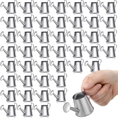 50 Stuks Minigietertjes Verzinkt Staal Zilver