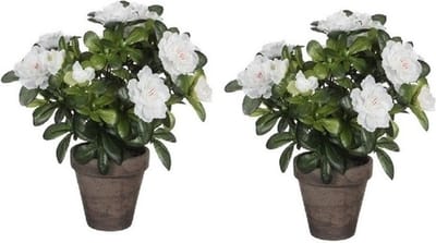Mica Decorations Kunstplant - 2x - Azalea - groen/wit - 27 cm - Met mooie bloemen