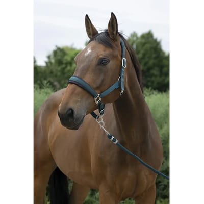 Halster en touwset voor grote paarden Norton