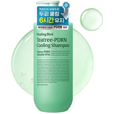 [Healing Bird] Tea Tree-PDRN Verkoelende Shampoo 500ml/1000ml 1000ml blue