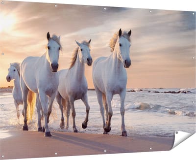 Gards Tuinposter Witte Paarden op het Strand bij Water - 180x120 cm - Tuindoek - Tuindecoratie - Wanddecoratie buiten - Tuinschilderij