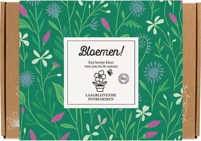 Blossombs Giftbox Small - 7 Zaadbommetjes - Bloemen! - Laagbloeiende Mix - Bloemen Cadeau