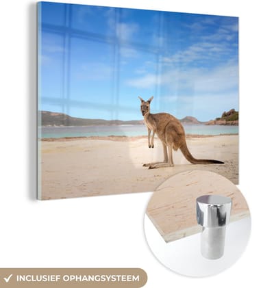 MuchoWow® Glasschilderij 160x120 cm - Schilderij acrylglas - Strand - Kangoeroe - Australië - Foto op glas - Muurdecoratie woonkamer - Wanddecoratie slaapkamer - Schilderijen