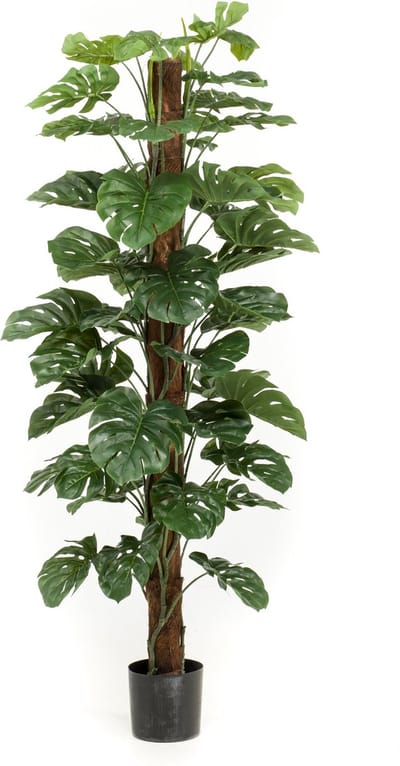 Emerald - Kunstplant Monstera op paal 180cm - Kunstplant voor binnen