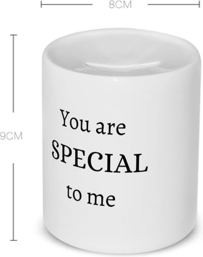 Akyol - you are special to me Spaarpot - Liefde - mensen die jij liefde wilt geven - cadeau - kado - liefde - geschenk - verjaardag - 350 ML inhoud