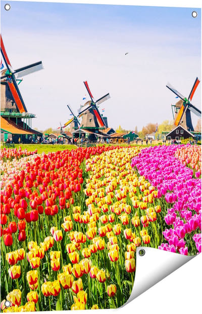 Gards Tuinposter Kleurrijke Tulpen Bloemenveld - Windmolen - 60x80 cm - Tuindoek - Tuindecoratie - Wanddecoratie buiten - Tuinschilderij