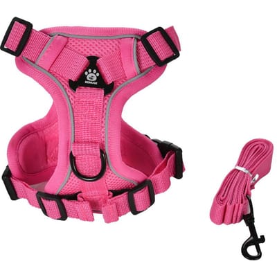 Kat Tuigje en Lijn Set Ontsnappingsbestendig Reflecterend Buiten Wandelen Kitten Vest Borstband Voor Honden Katten Ademend Huisdier Tuigjes (Rose Red,S) rozerode kleur