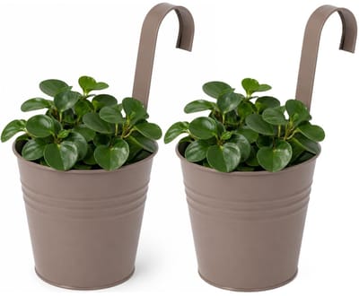 Progarden Bloempotje met haak - 2x - plantenbak zink met ophanghaak - bruin - 20 x 13 x 26 cm - ophangbaar - Balkon/schutting plantenpot