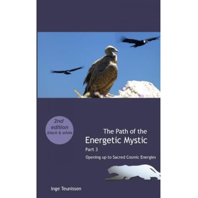The Path Of The Energetic Mystic - Inge Teunissen