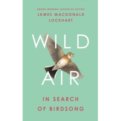 Wild Air - James Macdonald Lockhart