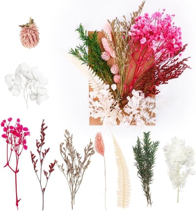 Gedroogde Bloemen en Geperste Bloemen voor DIY Projecten, Kunst, Hars, Scrapbooking en Sieraden Maken (Roze en Cyan)