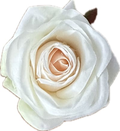 AMALIA CHAMPAGNE KLEUR KUNSTROZEN - Rozenkoppen 12 stuks - Mooie Kwaliteit Kunstbloemen - Nepbloemen - Rozen zonder Steltjes - Kunstbloemen voor Decoraties/ Versieringen - DIY Bloemen - Rozen voor de Bloemenmuur
