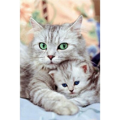 Diamant Borduurwerk Schattige Kat Baby 5D DIY Diamant Schilderij Diamant Mozaïek Foto's Huisdecoratie 20X30CM gray