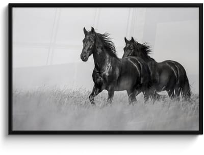 Poster in lijst - Fotolijst 120x80 cm - Posters - Paarden - Gras - Zwart - Wit - Posterlijst zwart - Decoratie - Wanddecoratie woonkamer - Muurdecoratie slaapkamer