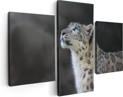 Artaza Canvas Schilderij Drieluik Luipaard Met Blauwe Ogen  - 90x60 - Foto Op Canvas - Canvas Print
