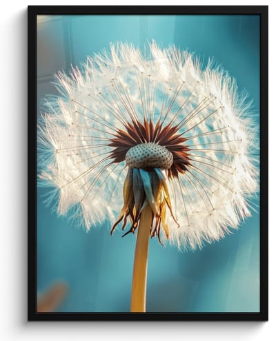 Poster in lijst - Fotolijst 50x70 cm - Posters - Paardenbloem - Natuur - Bloemen - Blauw - Posterlijst zwart - Decoratie - Wanddecoratie woonkamer - Muurdecoratie slaapkamer