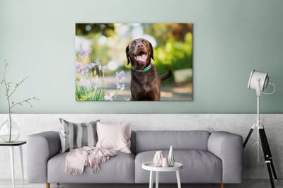 Canvas schilderij 180x120 cm - Wanddecoratie Een Labrador Retriever met mooie bloemen - Muurdecoratie woonkamer - Slaapkamer decoratie - Kamer accessoires - Schilderijen