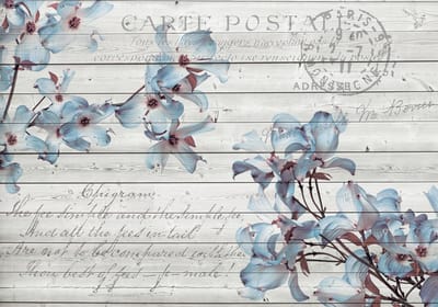 Fotobehang Vlies | Hout, Bloemen | Blauw | 368x254cm (bxh)