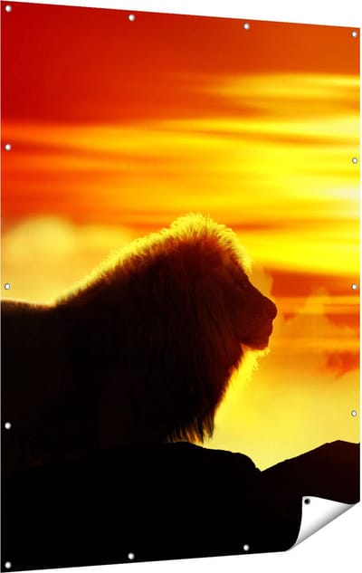 Gards Tuinposter Leeuw en Tijger - Silhouet - Zonsopkomst - 120x160 cm - Tuindoek - Tuindecoratie - Wanddecoratie buiten - Tuinschilderij