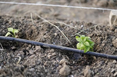 Druppelslang irrigatieset - Micro druppelsysteem - Planten water geven - Waterbesparend systeem - 100 m slang - Zwart