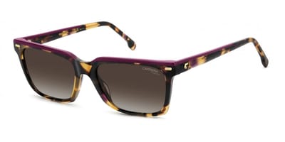 Carrera CARRERA 3056/S Havana plum 55/17/140 WOMAN Zonnebrillen