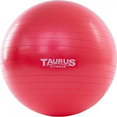 Taurus Gym Bal anti-burst 55 cm