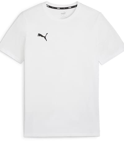 Puma Shirt TeamGoal CasuaLongsleeve Tee 658615