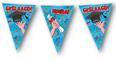 BTH – Hoera Geslaagd Vlaggenlijn – 10m – Afstuderen – Graduation Party – Geslaagd Versiering – Afstudeer Feest – Cartoon Decoratie