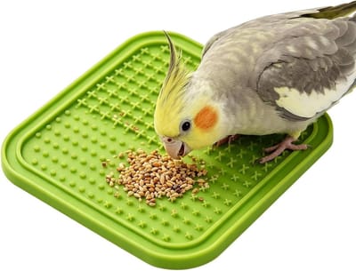 Vogel Foerageerspeelgoed - Interactieve voederpuzzel - Vogels Trainen - Voorkomt Snel Eten - 20 x 20 x 1 cm - Groen