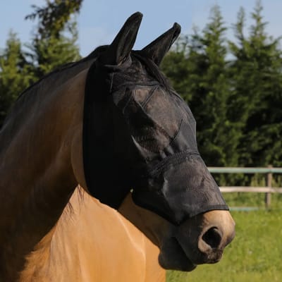Paardenflymasker van pvc met oorsluitsels en rits Umbria Equitazione