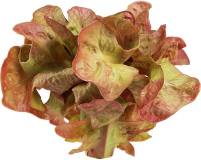 Kunstsla Lollo Rosso siersla krop Ø20cm