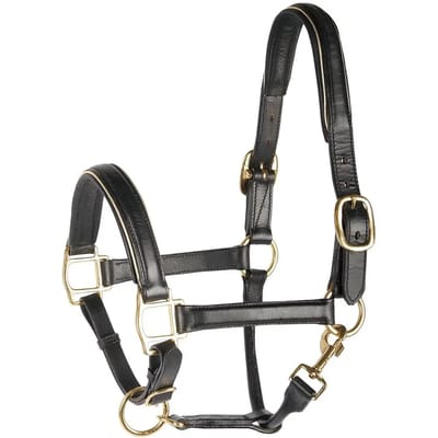 Harrys Horse Halster Leder - Zwart met Bies Goud - Pony
