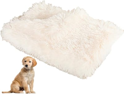 Fluffy Dikke Hondendeken Hondenkussen Kattendeken voor Bank Bed en Auto, Pluche Super Zacht Wasbaar in de Wasmachine, Geschikt voor Alle Seizoenen, Verhaart Niet, wit 127x100 cm