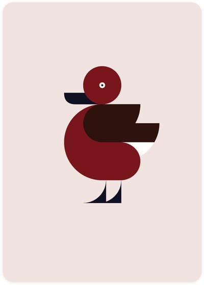 Eendje - 4x leuke wenskaarten - kaarten om te versturen - kaartenset - kaart met Witoogeend - vier kaarten met watervogels
