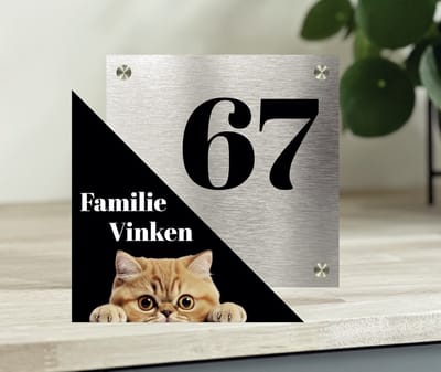 Naambordje / huisnummer voordeur Exotic shorthair aparte driehoek rvs look met zwart 23x23 cm