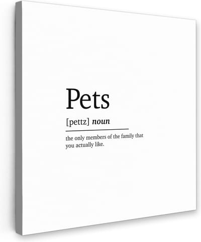 Canvas Schilderij Huisdieren definitie - Quotes - Spreuken - Pets - Woordenboek - 20x20 cm - Wanddecoratie