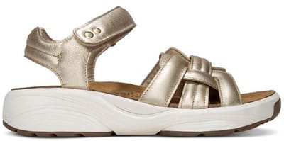 Xsensible Magnolia gold 30804.5.911 GOLD