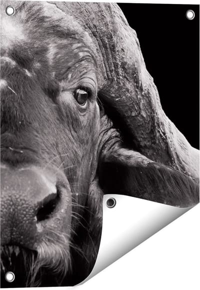 Gards Tuinposter Buffel - Buffelkop - Zwart Wit - 40x50 cm - Tuindoek - Tuindecoratie - Wanddecoratie buiten - Tuinschilderij