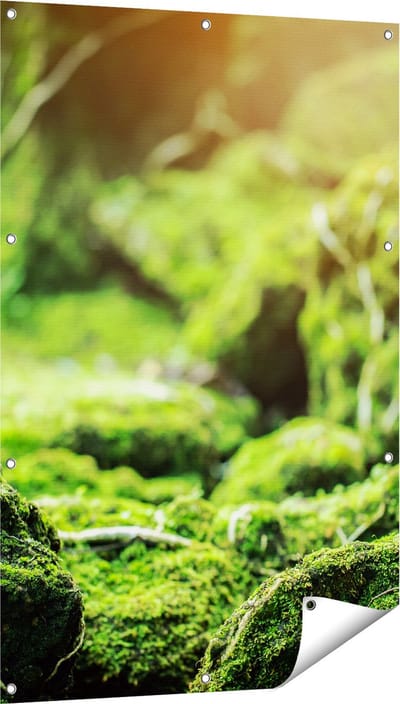 Gards Tuinposter Groen Mos Bedekt over Stenen - 80x120 cm - Tuindoek - Tuindecoratie - Wanddecoratie buiten - Tuinschilderij