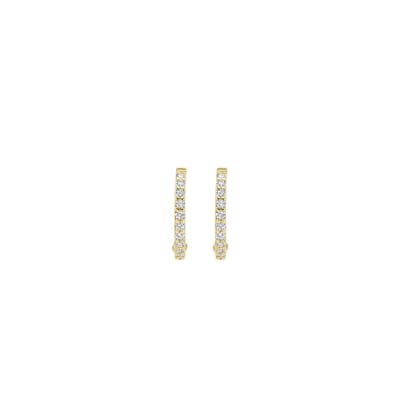 Blush 7269YZI oorringen dames 14k geelgoud met zirkonia