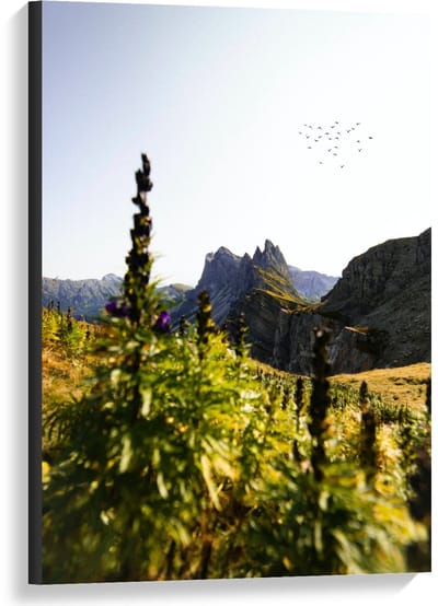 Canvas  - Rotsen met Begroeiing  - 60x90cm Foto op Canvas Schilderij (Wanddecoratie op Canvas)