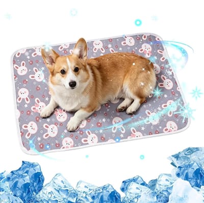 LISM koelmat, geschikt voor honden, ademend, comfortabel en antislip | Geschikt voor kleine en middelgrote pups, geschikt voor binnen- en buitengebruik, kan worden gebruikt in kennels, benches en tijdens zomervakanties (40*30 cm).