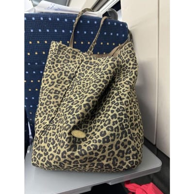 Commuter Canvas Tas voor Dames Nieuwe Japanse Stijl Slack Luipaardprint Dubbelzijdige Draagtas College Stijl Grote Capaciteit Schoudertas gray
