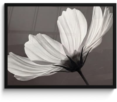 Poster in lijst - Fotolijst 80x60 cm - Posters - Bloem - Minimalistisch - Zwart - Wit - Posterlijst zwart - Decoratie - Wanddecoratie woonkamer - Muurdecoratie slaapkamer